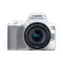 CANON EOS 250D  with 18-55 IS STM Lens