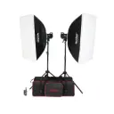 GODOX MS300-F 2KIT Studio Flash